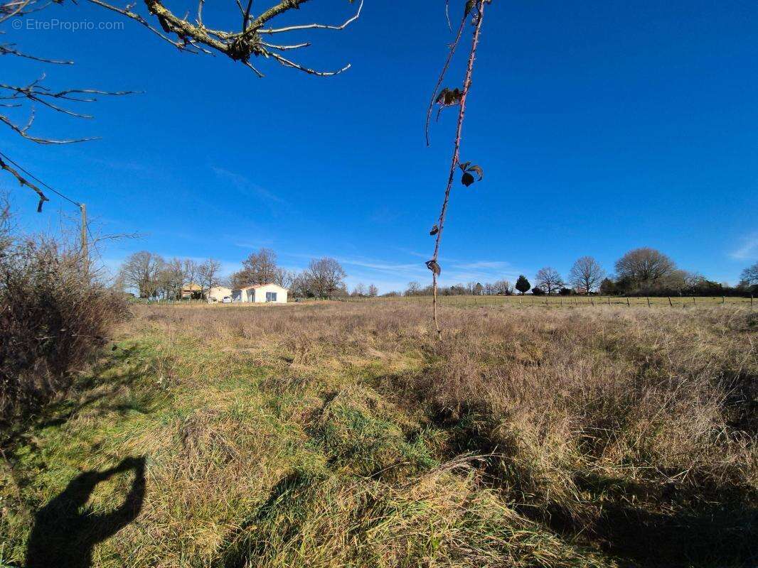Terrain à PEYRIGNAC