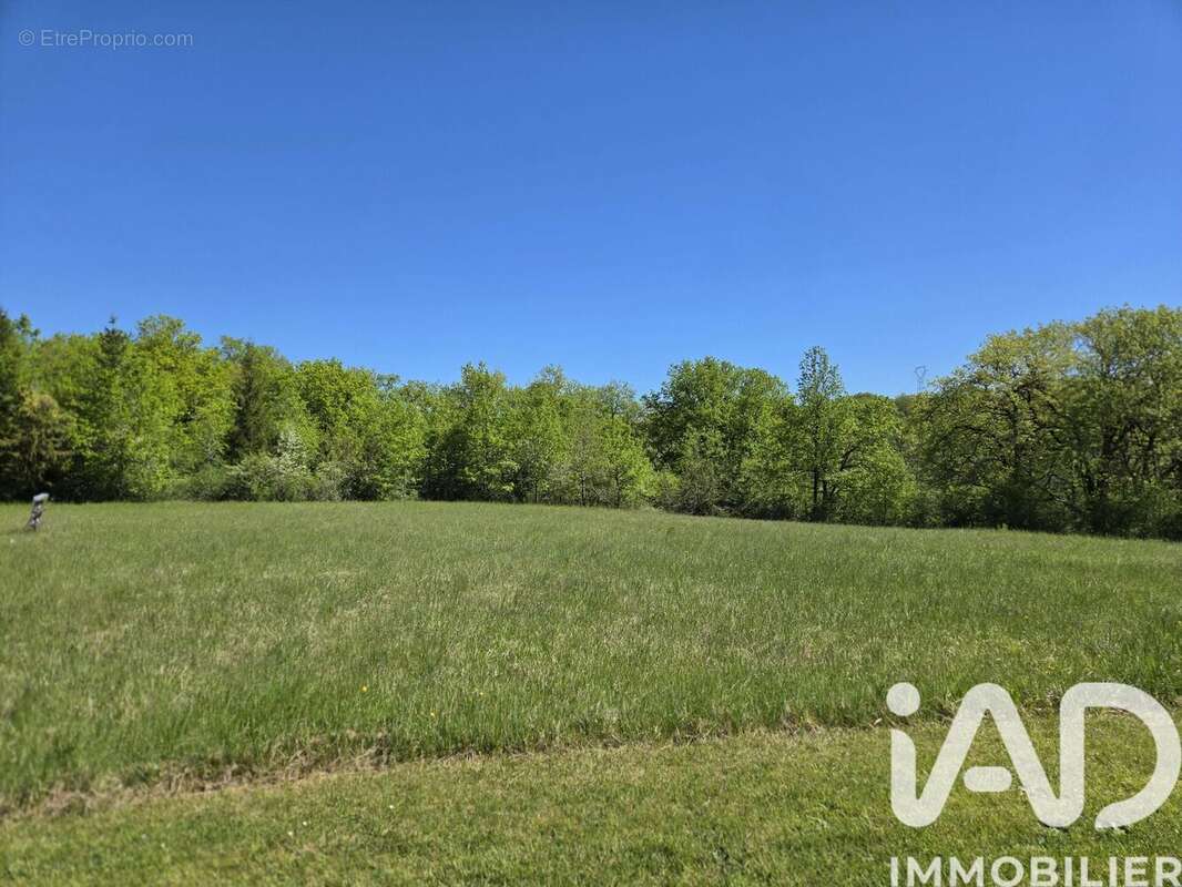 Photo 4 - Terrain à BETAILLE