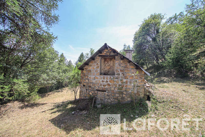 **muande + 7200 m² de terrain - embrun - photo 15