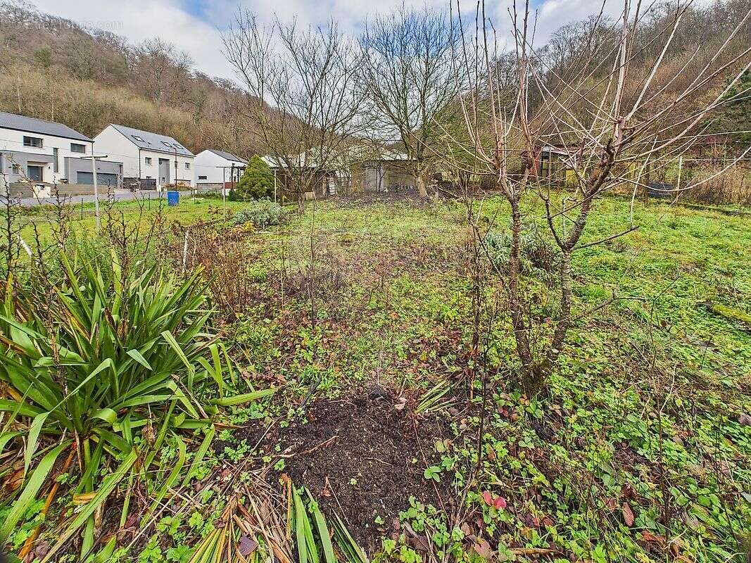 Maison à HAUCOURT-MOULAINE