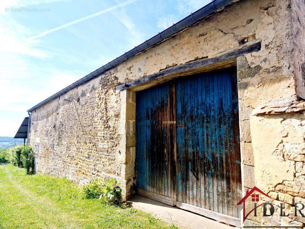 Maison à TERRE-NATALE