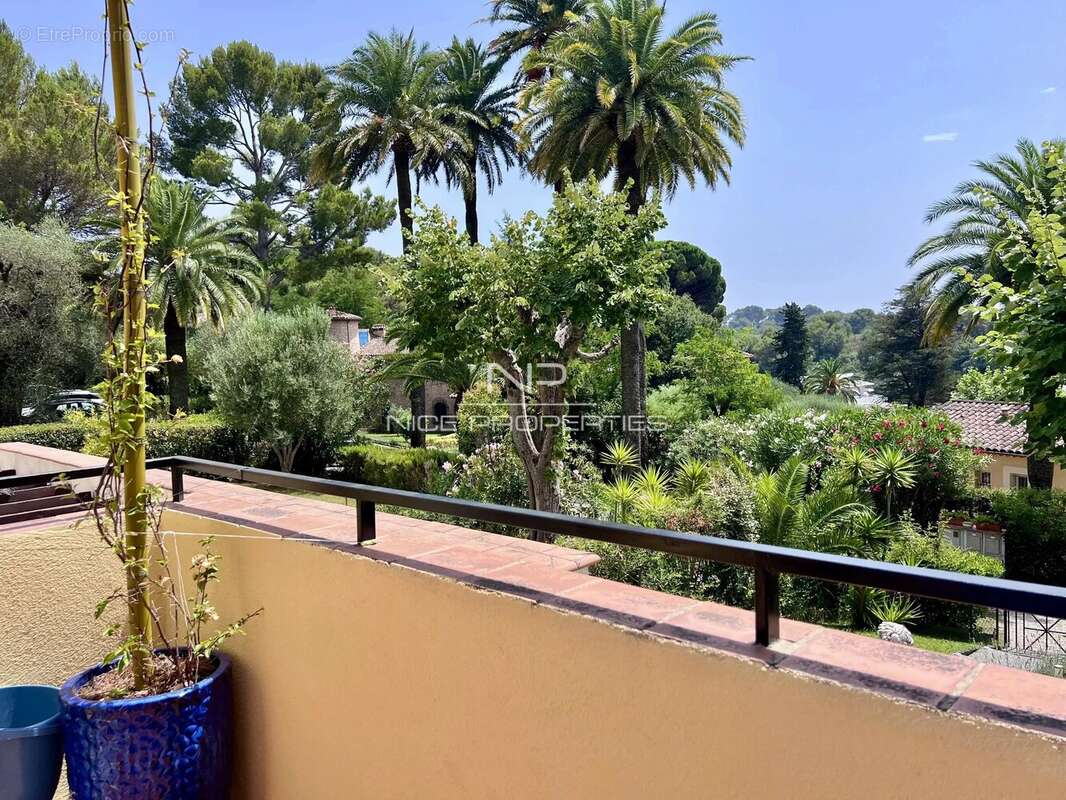 Charmante maison rénovée avec jardin, terrasse et piscine en résidence – Cannes La Bocca. - photo 6