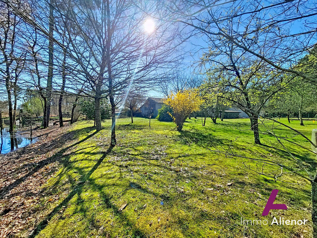 Terrain à BELIN-BELIET