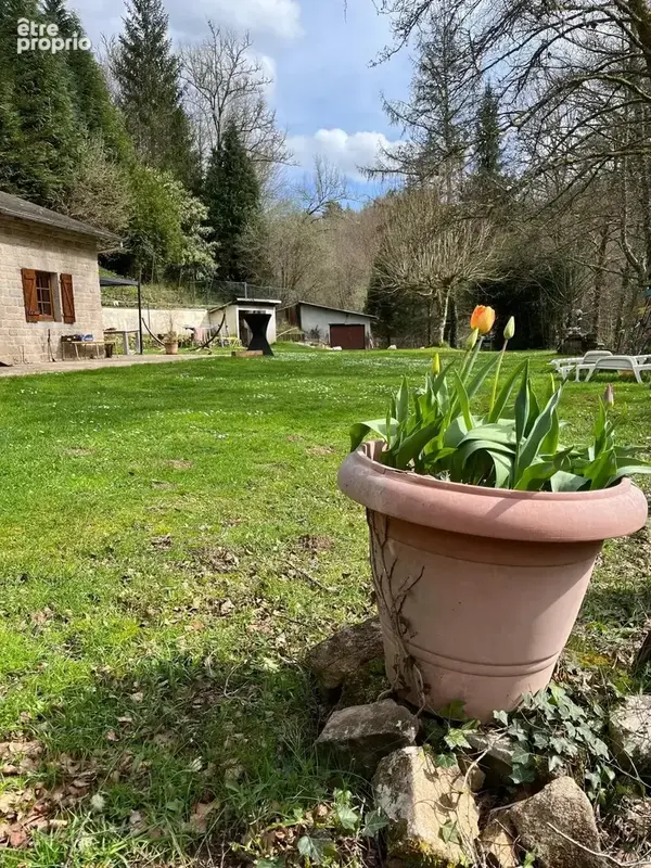 Haute-Vienne, une propriété avec étang au bord de la Vienne - photo 3