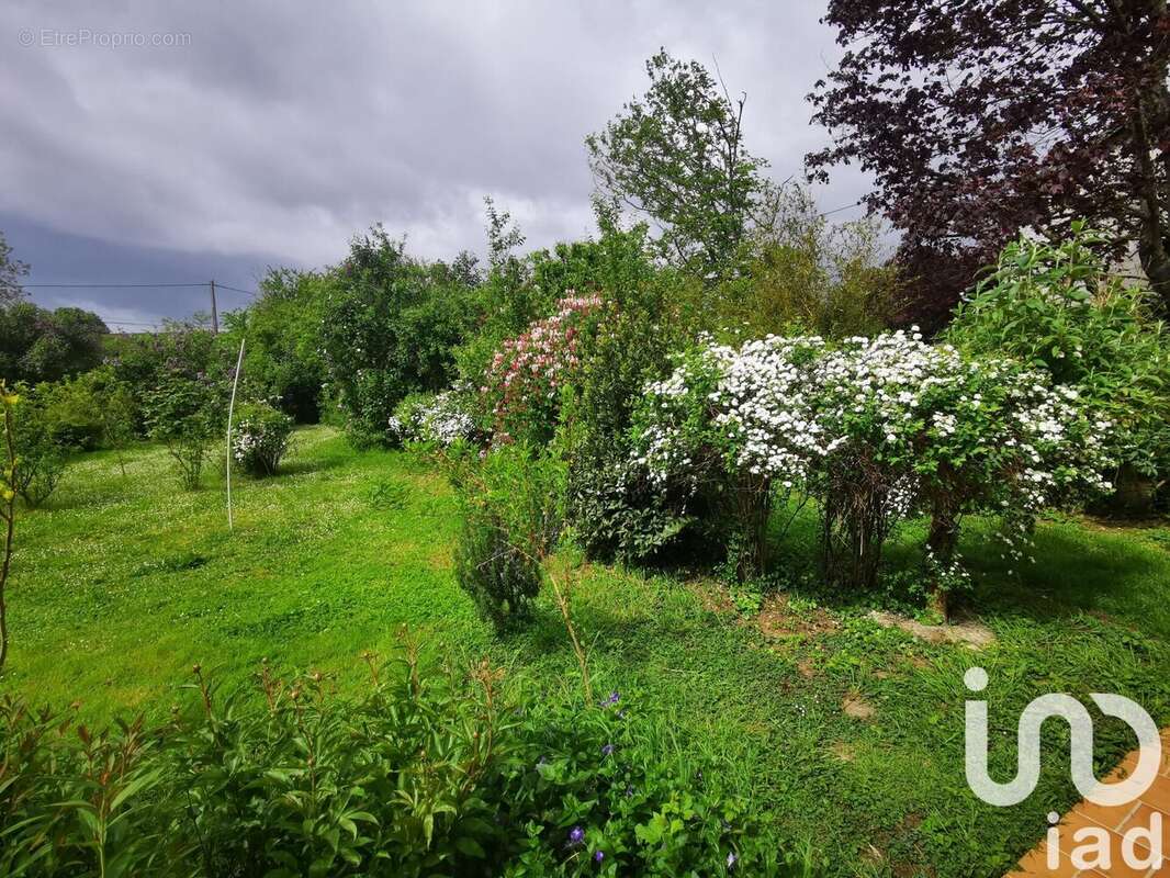 Photo 7 - Maison à APPOIGNY