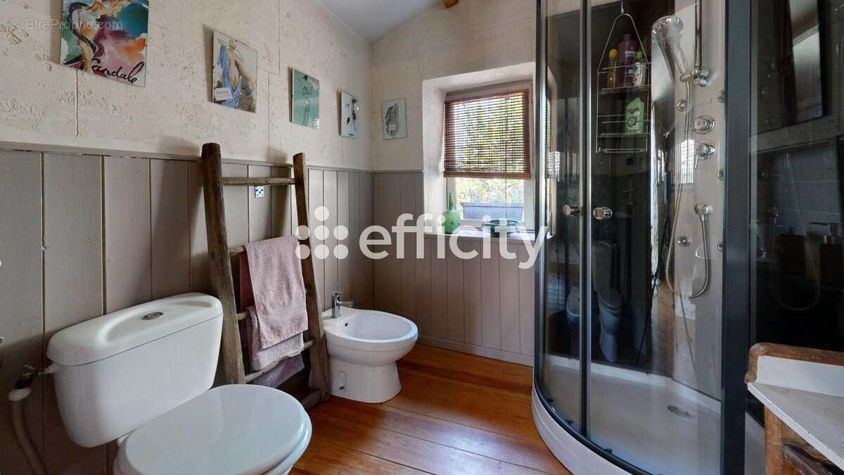 Maison 378 m² à Montet-Et-Bouxal  - photo 15