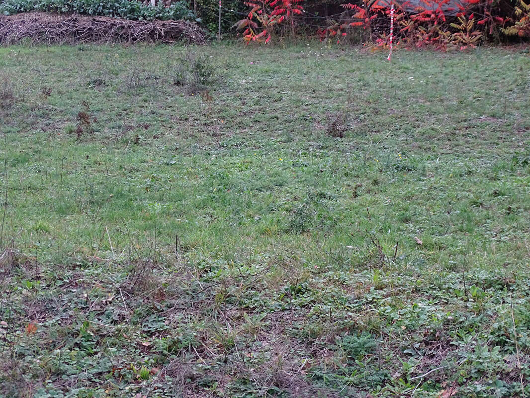 Terrain à VORGES-LES-PINS
