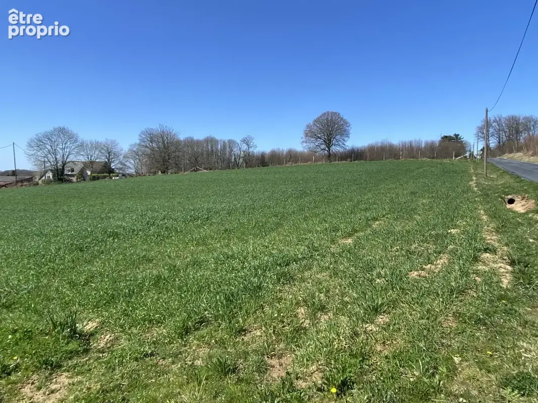 Terrain à SAINT-SORNIN-LAVOLPS