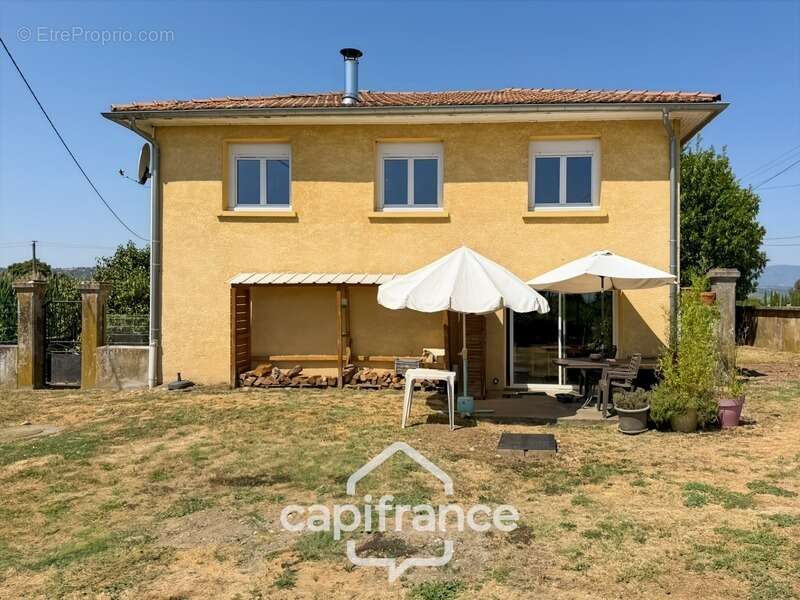 Chanas – Une maison familiale au cœur d'un environnement naturel privilégié composé de 6 pièces - photo 4