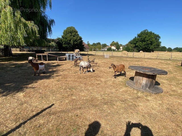 Maison à PARIGNE-L&#039;EVEQUE