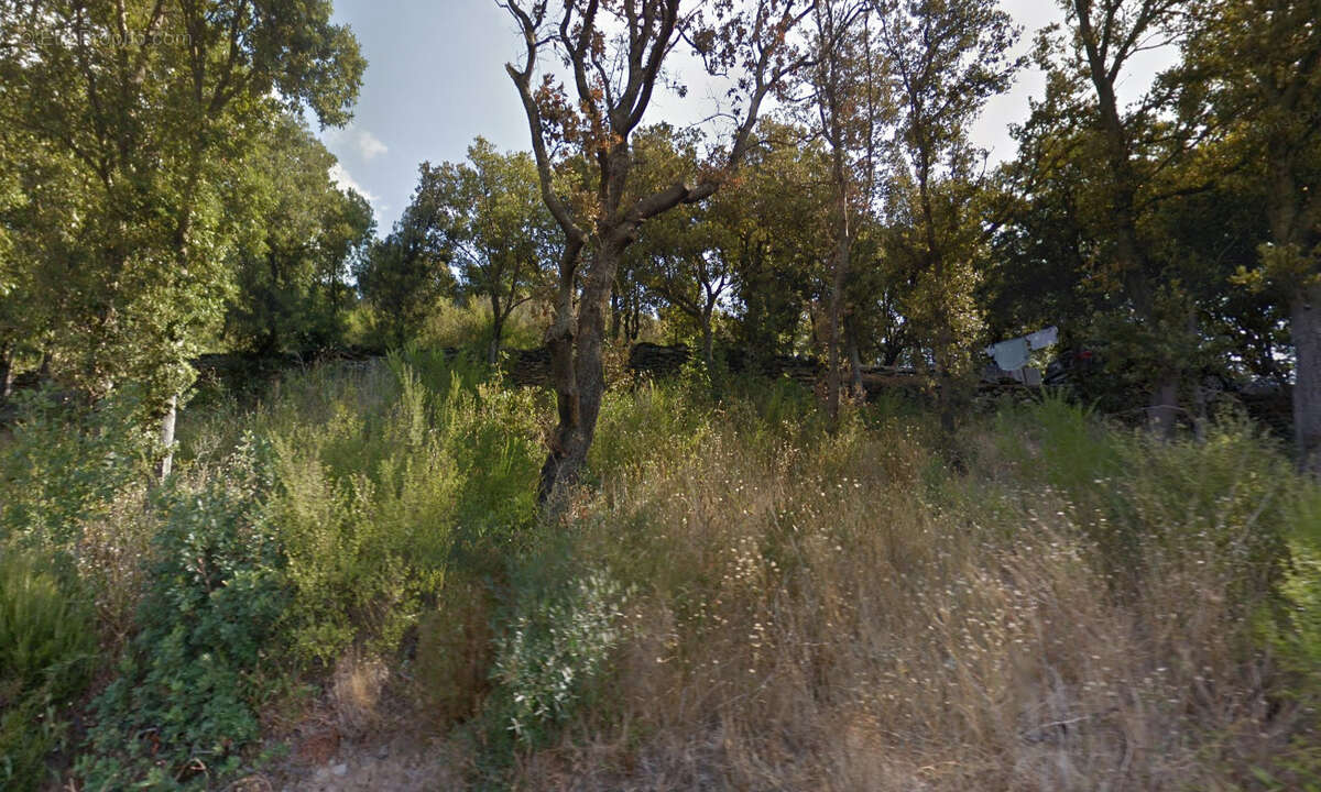 Terrain à SANTA-MARIA-DI-LOTA