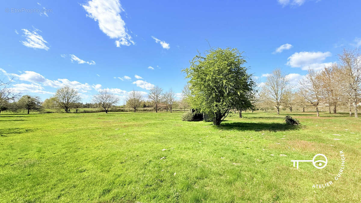 Maison à MONTRIEUX-EN-SOLOGNE