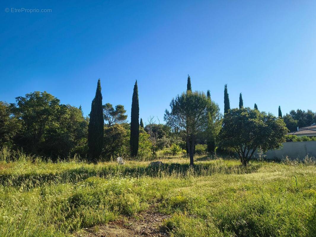 Photo 1 - Terrain à CABRIERES-D'AVIGNON