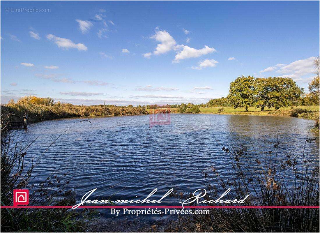 Terrain à GY-EN-SOLOGNE