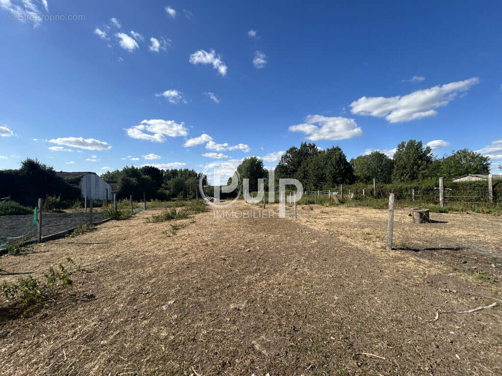 À vendre - Magnifique corps de ferme rénové à Hestrus - Idéal pour les amoureux de la campagne et des chevaux - photo 8