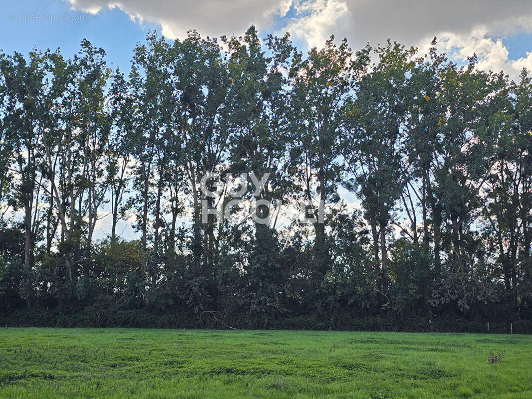 Terrain à AUZAY