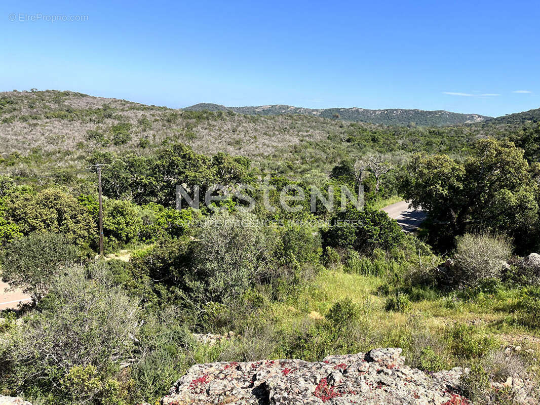 Terrain à PORTO-VECCHIO