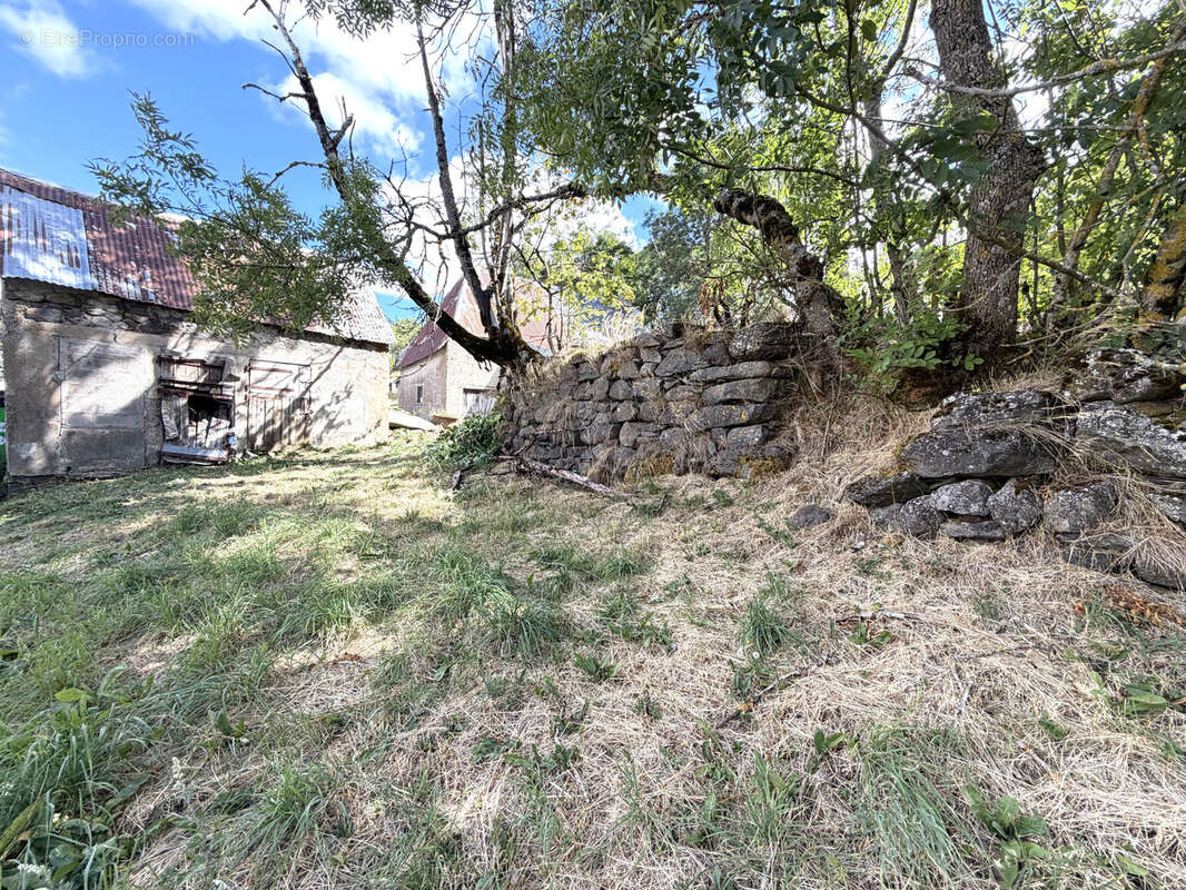 Montgreleix   Maison avec grange, écurie et dépendances sur 925 m2 de terrain - photo 4