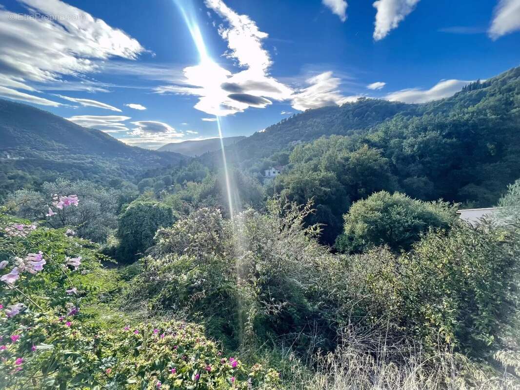 Terrain à SAINT-BLAISE