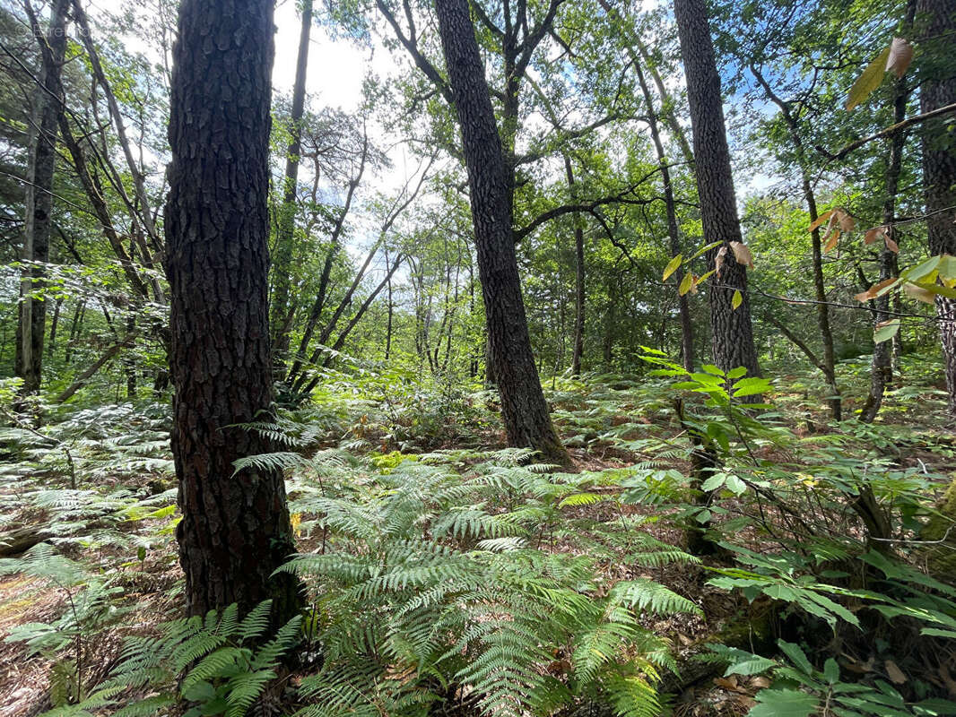 Terrain à PERIGUEUX