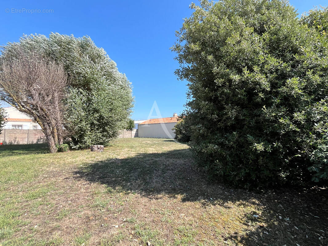 Terrain à SAINT-HILAIRE-DE-RIEZ