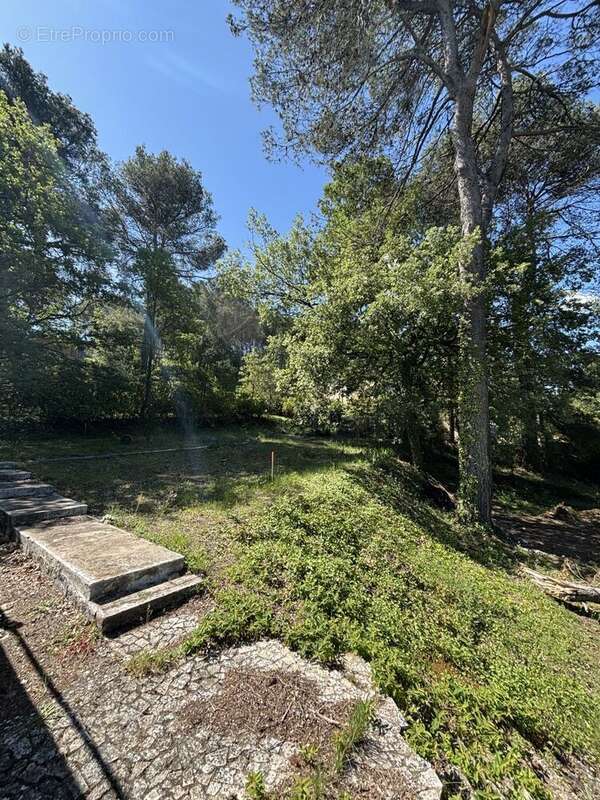 Terrain à LA ROQUE-D&#039;ANTHERON