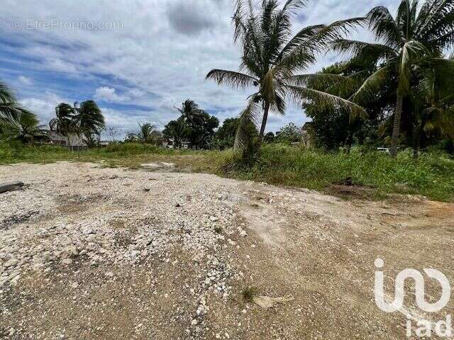 Photo 3 - Terrain à PORT-LOUIS