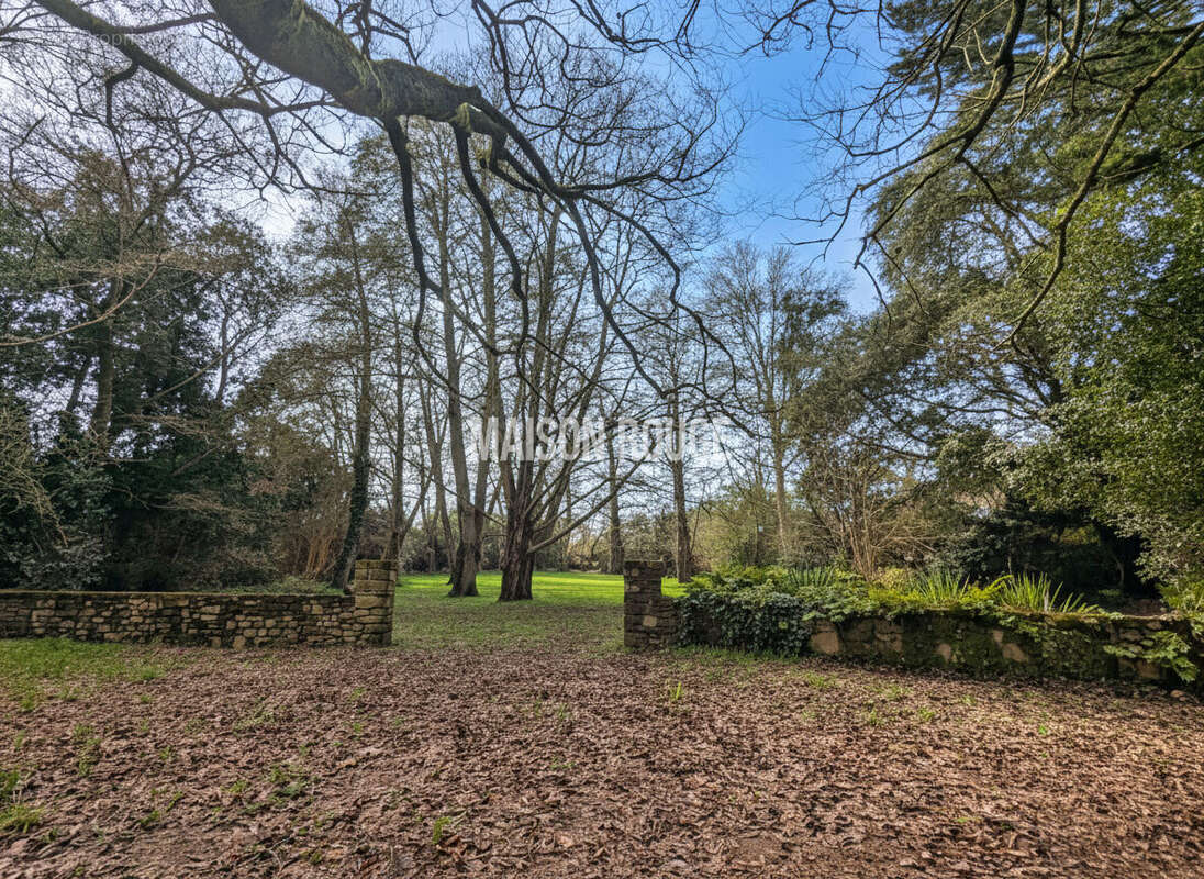 Terrain  de 3000 m2 à 50m du Golfe du Morbihan. - photo 2
