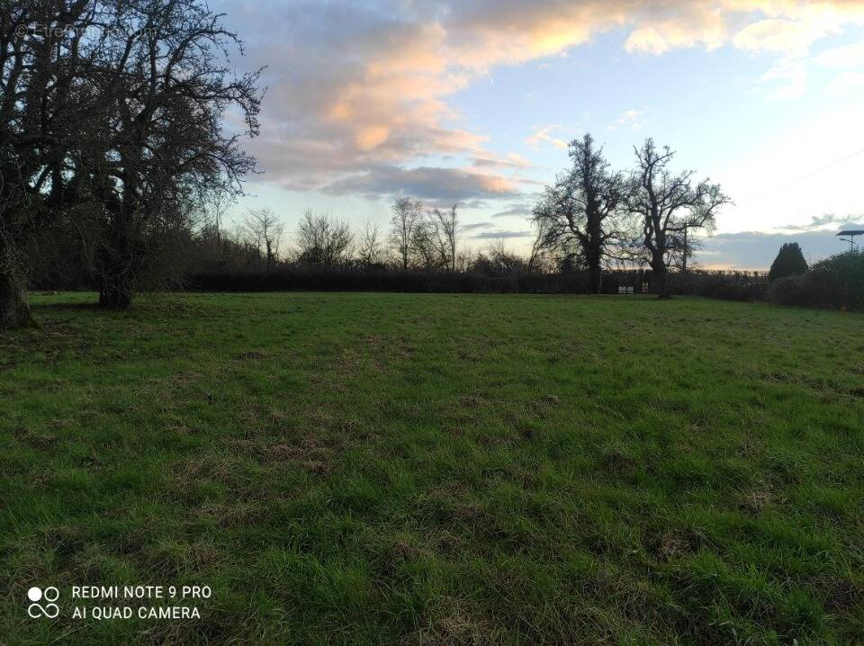 Terrain à CAORCHES-SAINT-NICOLAS
