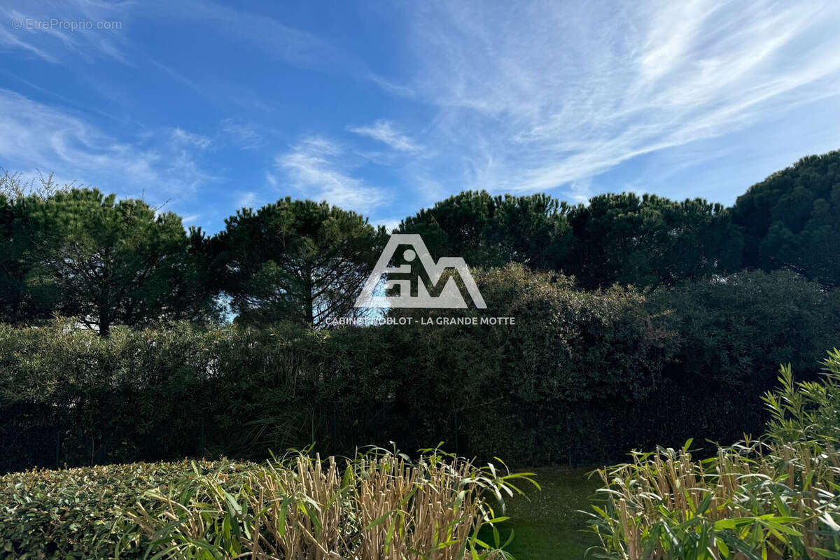 Appartement à LA GRANDE-MOTTE