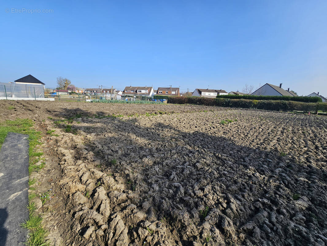 Terrain à LEFOREST