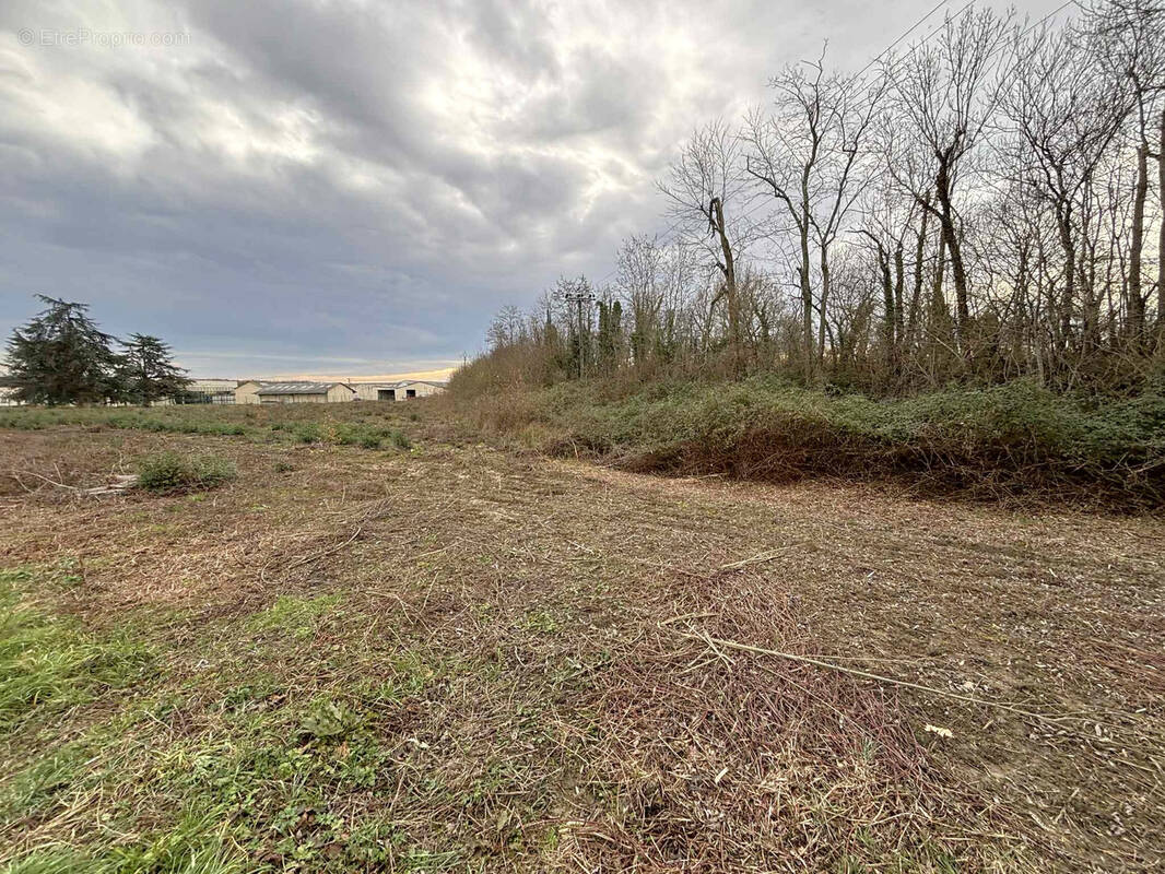 Terrain à MONTBARTIER