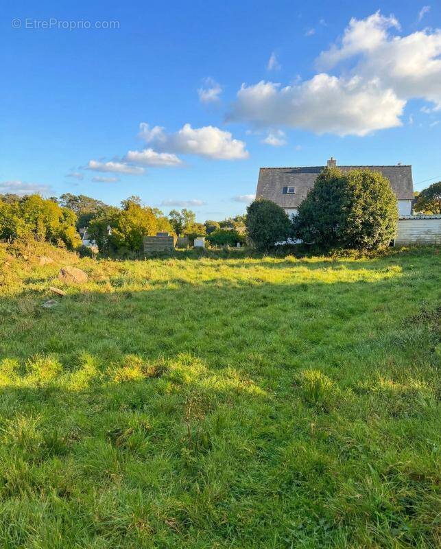 Terrain à TREVOU-TREGUIGNEC