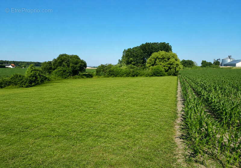 Grand terrain de loisirs de 4 500 m² – Maillé (37) – Nature et tranquilité - photo 2