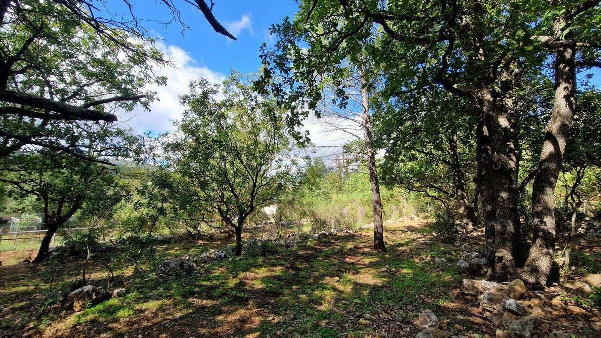 Photo 5 - Maison à SAINT-MAXIMIN-LA-SAINTE-BAUME