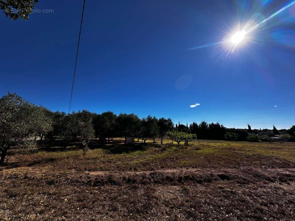 Terrain à PUGET-SUR-ARGENS
