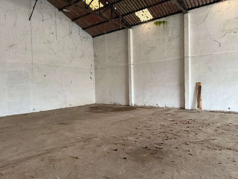 Commerce à PEYREHORADE