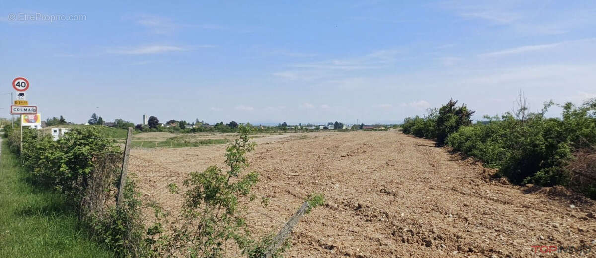 Terrain à COLMAR