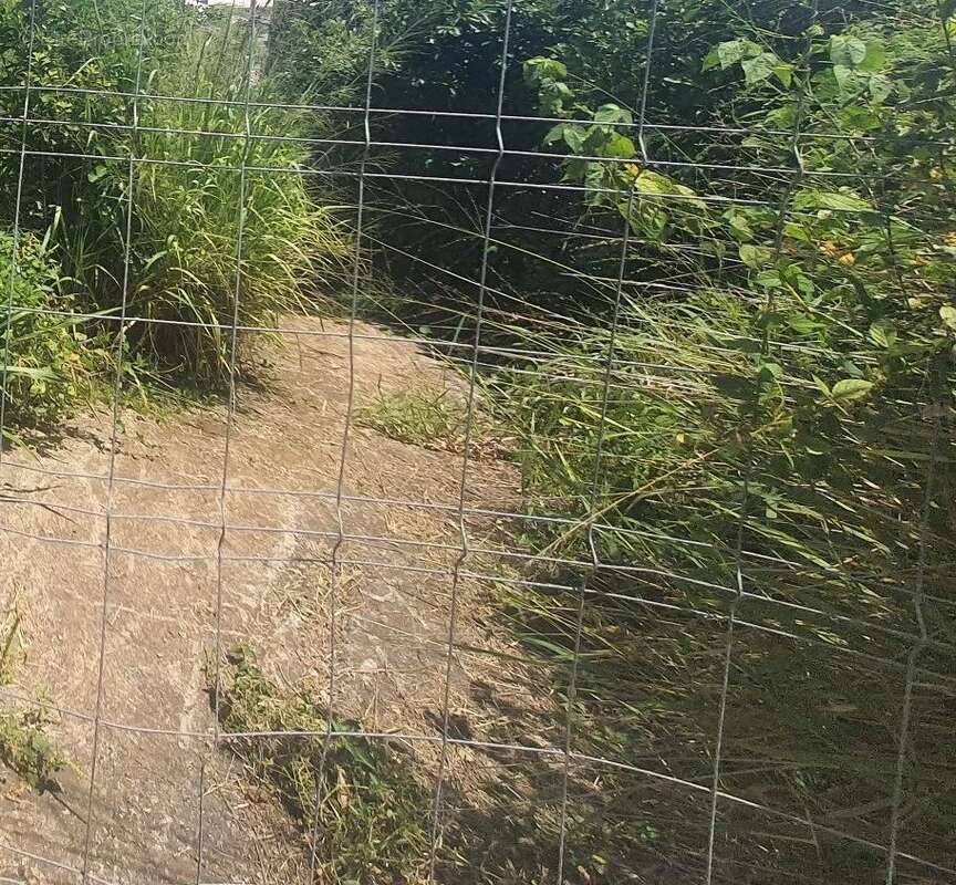 Terrain - 550 m² - La Montagne - photo 4