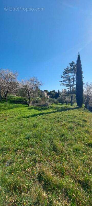 Terrain à VACQUEYRAS