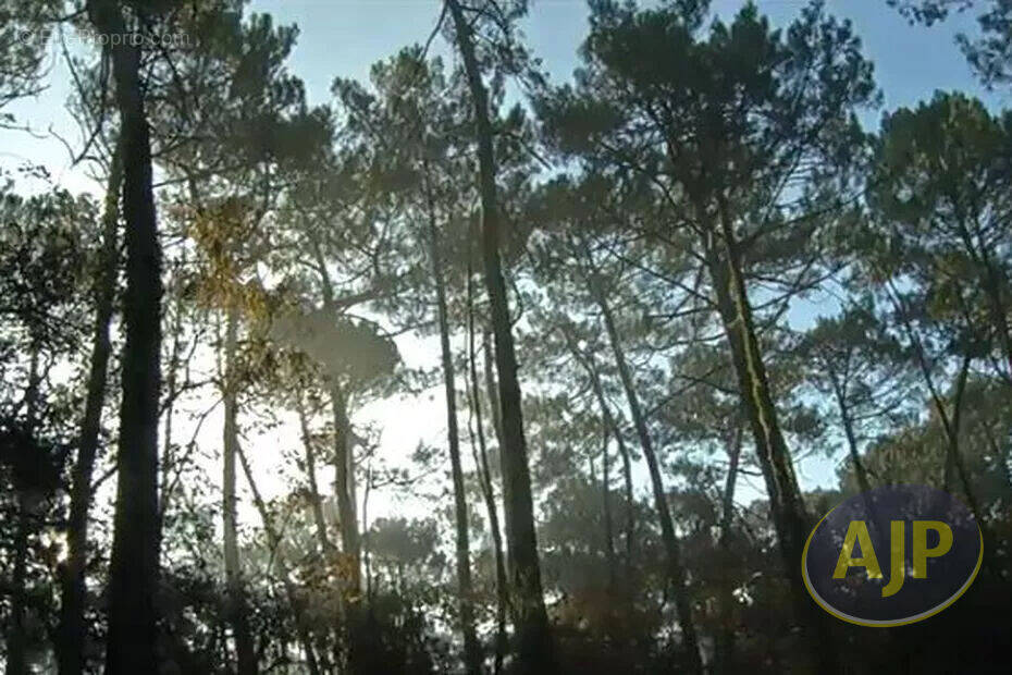 Terrain à LEGE-CAP-FERRET