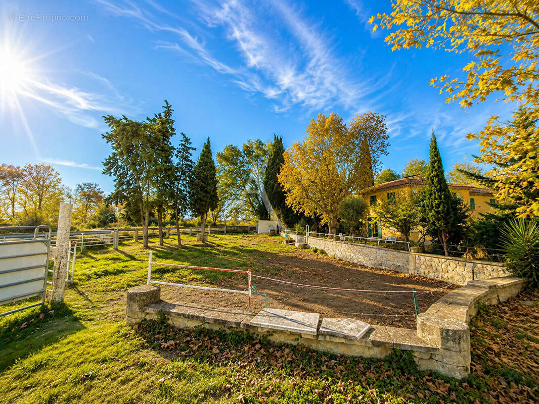 Domaine de Provence (Mas Arles) - photo 2