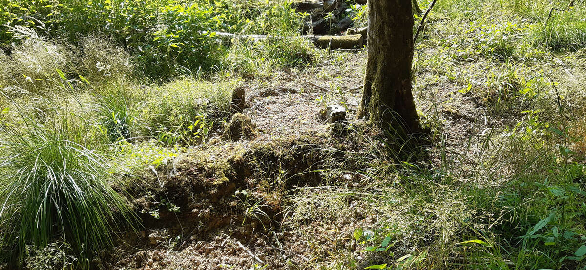 Terrain à CHAMPENOUX