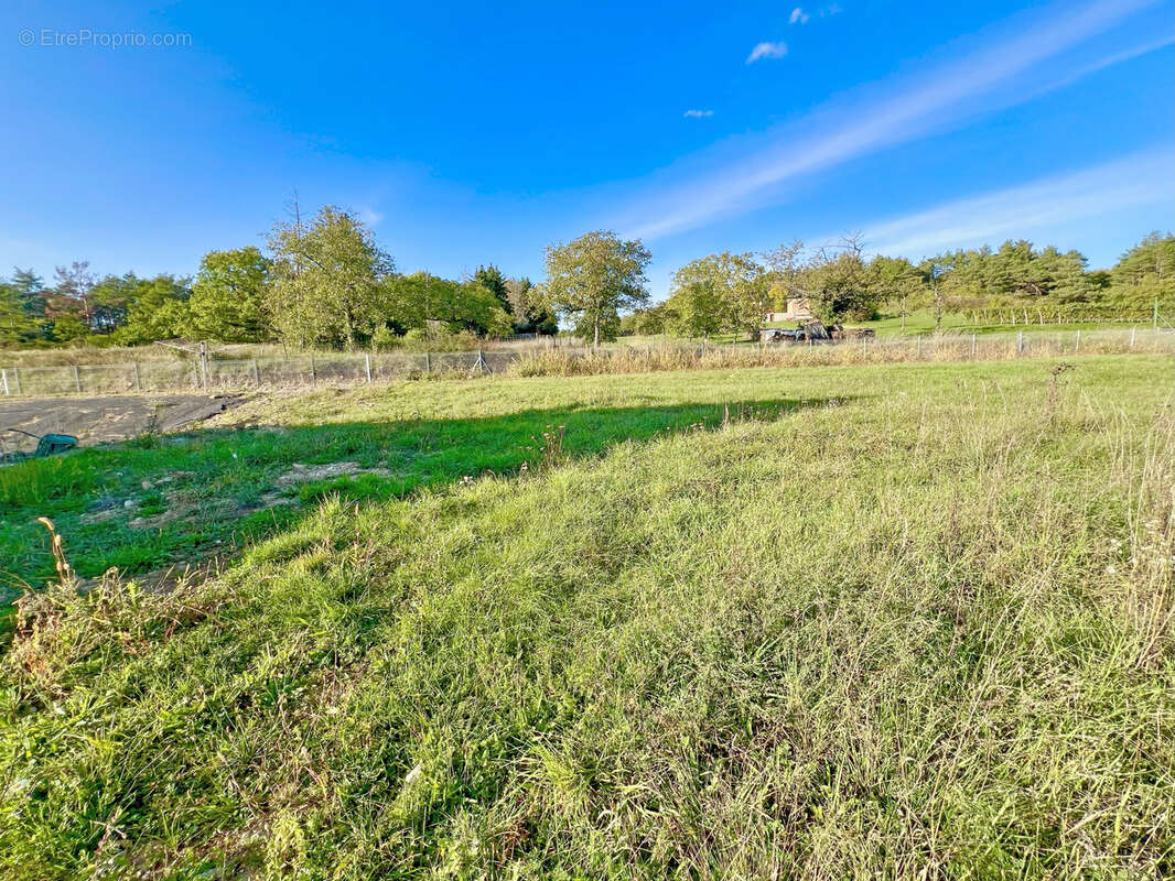 Terrain à ROSENWILLER