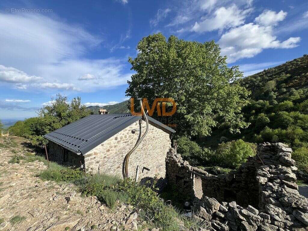 Propriété 54 hectares, rare en Ardèche - photo 26