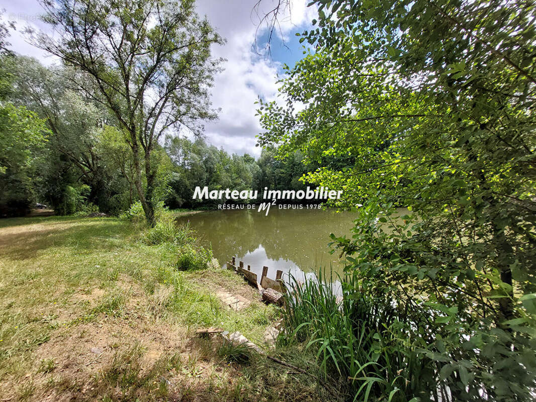 Terrain de loisirs Yvre L Eveque - photo 4
