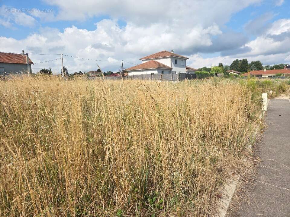 Terrain à SAINT-SORLIN-DE-MORESTEL