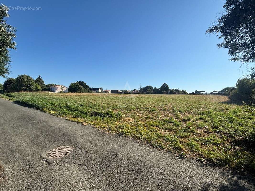 FONCIER de 5500 m² entierement constructible - photo 2