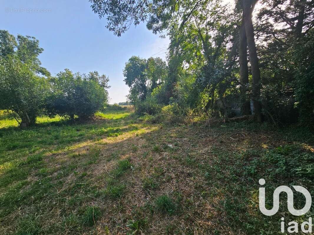 Photo 3 - Terrain à LE GUA