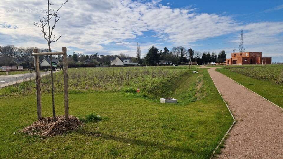 Terrain à MONTIGNY